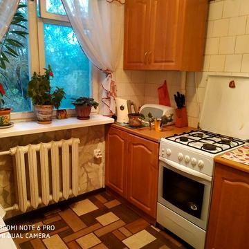 Срочно сдам квартиру в Приморском районе!Можно с собачкой!