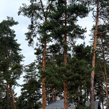 Кліматична вул.