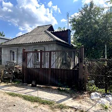 Тонконіг
