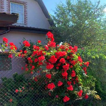 Продам  ДОМ (ДАЧУ)