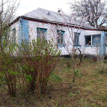 Продається будинок в с.Карапиші Київська область