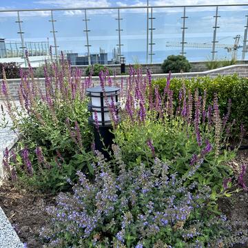 Курортний пров., 2/1