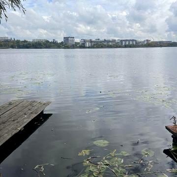 Продаж будинку біля озера Басів Кут