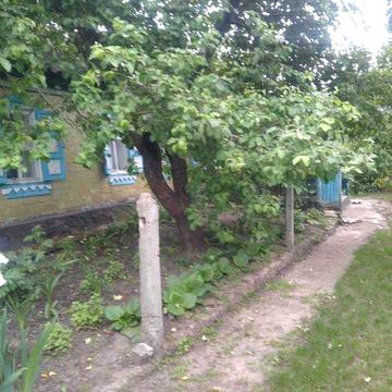 Продам будинок в с. Микільське