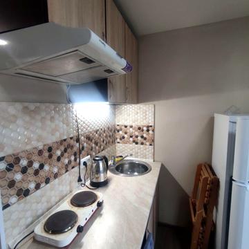 Ньютона вул., 113