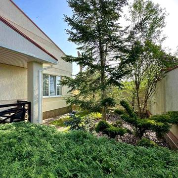 Продам дом в Новоалександровке