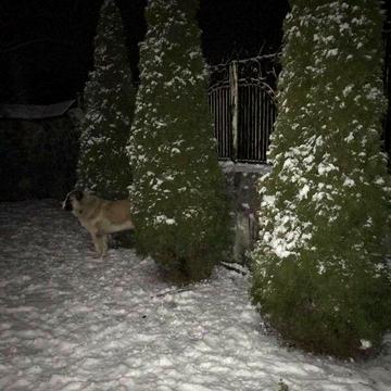 Продаж 5к Дім Київська вулиця