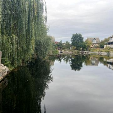 Продам Котедж з підвалом 300 кв 5 кім 14 з виходом на озеро Осокорки