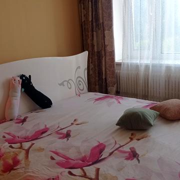 Академіка Курчатова просп., 12