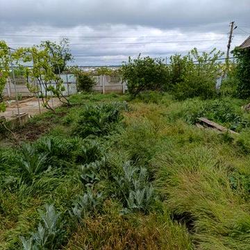 Рассрочка! (Год) Дом в Овидиополе