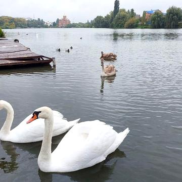 Андрія Первозванного вул. (Стахурського), 2а