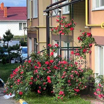 Без %! Продаж видової 2к квартири в ЖК Спутник.Держпрограми.Сертифікат ЖК Спутник