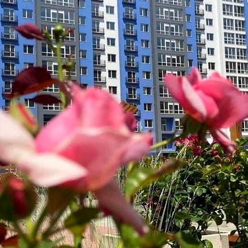 1кімнатна ЖК Княгинин ЖК Княгинин
