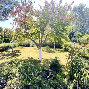 Продам дачу в Новоселовке