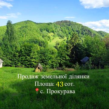 Прокурава, Косівський, Івано-Франківська область 25000.0 USD