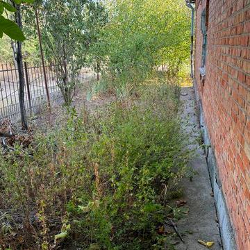 Продам гарний будинок в центрі села ціна солодка як мед