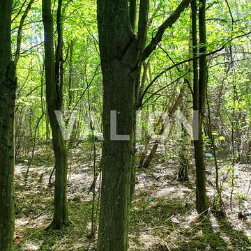 Жулянська вул., 7а