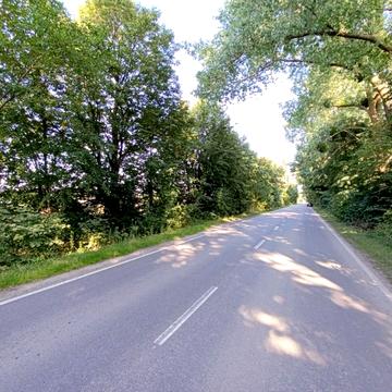 Центральна вул.