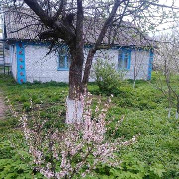 Продається будинок