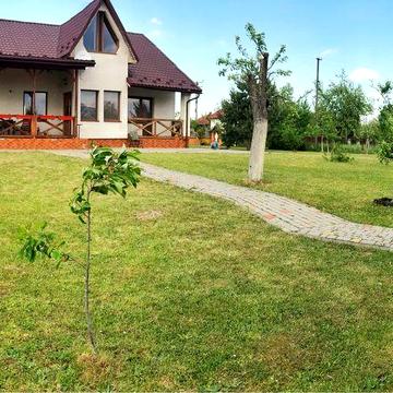 Здається в оренду простора двоповерхова хата