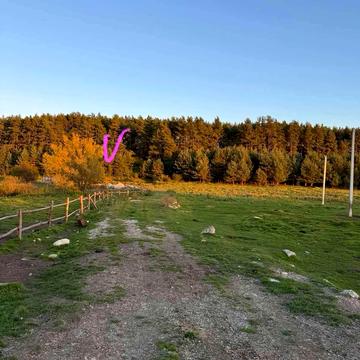 Карачинів, Яворівський, Львівська область 40000.0 USD