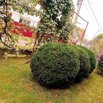 Продаж 3к Дім Івана Франка вулиця