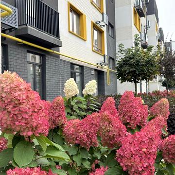 Однокімнатна з ремонтом, топ ціна, швилкий виізд на Киів, є-оселя ЖК Молодість