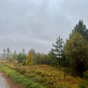 Миколаївка, Вишгородський, Київська область 1200000.0 USD