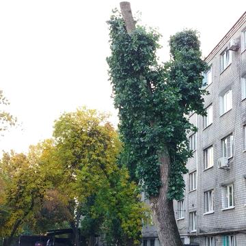 Продам малосімейку. Власник.