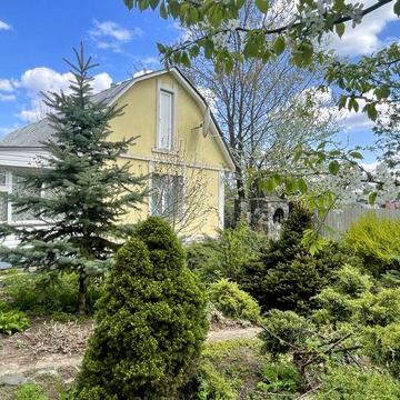 Здам будинок в Батурині