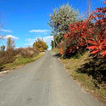 Продаж дачі з ділянкою - 9 сот, Газ.  Підгірці, Обухівський район