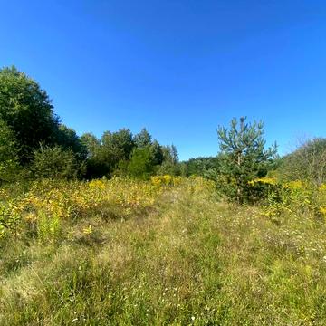 Гореничі, Бучанський, Київська область 360000.0 USD