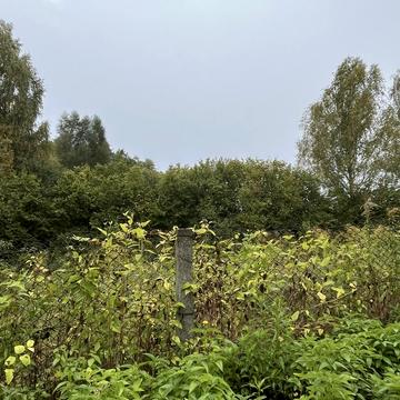 Гвоздів, Обухівський, Київська область 81250.0 USD