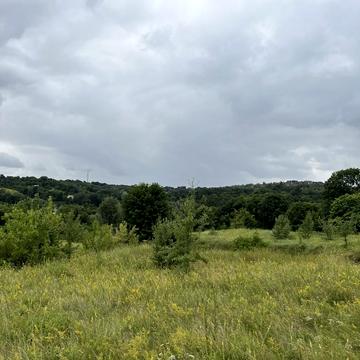 Єлисеївська