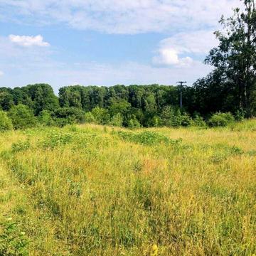 Рославичі, Обухівський, Київська область 30000.0 USD