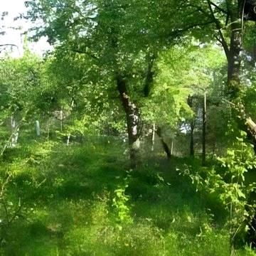 Берестейський просп. (Перемоги), 15-й км