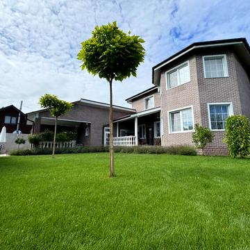 Весняна вул.