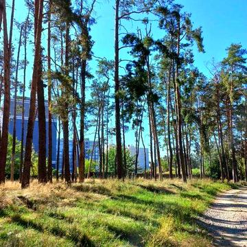 Продам велику квартиру з мальовничим видом - пентхаус на 2 поверхи
