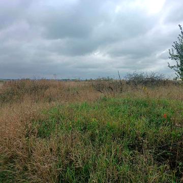 Байківці, Тернопільський, Тернопільська область 8500.0 USD