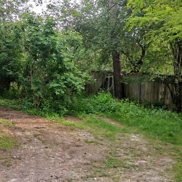 Академіка Ромоданова вул. (Льва Толстого), 19