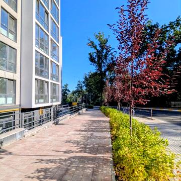 Лисенка вул., 21