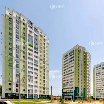 1кімн. ЖК Рогатинський, (Рогатинский, Центральный рынок) 130248