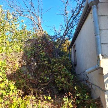 продам дачу отрадово