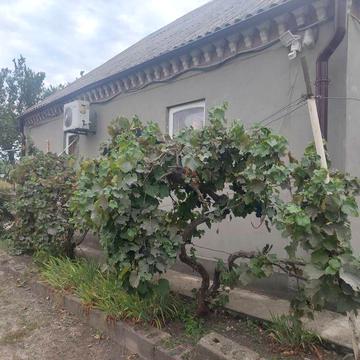 Продам частный дом в Орловщине