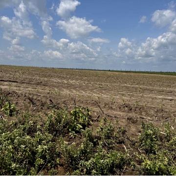 Северинівка, Бучанський, Київська область 170800.0 USD