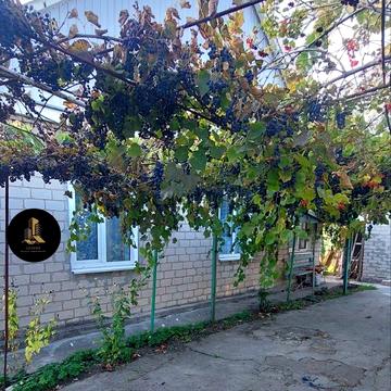 Тітова, 1