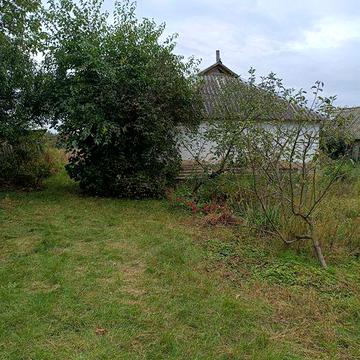 Продається присадибна ділянка з хатою-мазанкою в селі Поділля