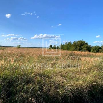 Полянського