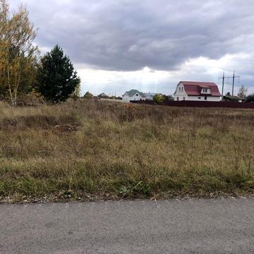 Абрикосова