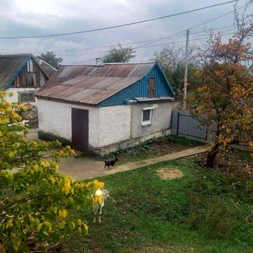 Продам домик в Елизаветовке, рядом река Орель